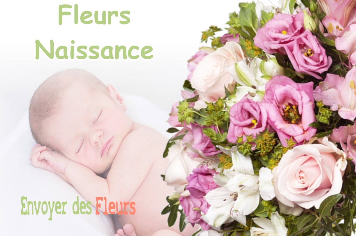 lIVRAISON FLEURS NAISSANCE à PELLEPORT